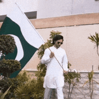 Pakistan Cricket Team Pakistan GIF