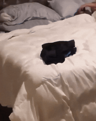 cuteanimalland giphyupload GIF