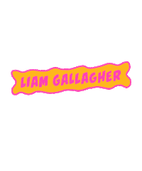 liam gallagher Sticker by LollapaloozaBerlin