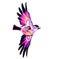 pink flying Sticker by Dinaaaaaah