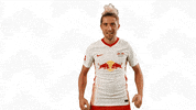 Oh Yeah Football GIF by RB Leipzig