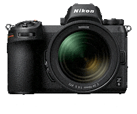Nikon Ankitanikon Sticker by NikonIndia