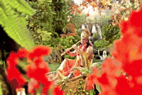 Krishna GIF