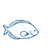 Nachhaltig Sticker by Marine Stewardship Council (MSC)