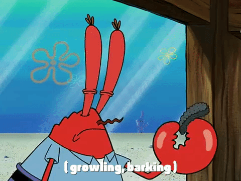 season 3 GIF by SpongeBob SquarePants