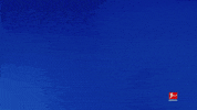 So What Reaction GIF by Bundesliga