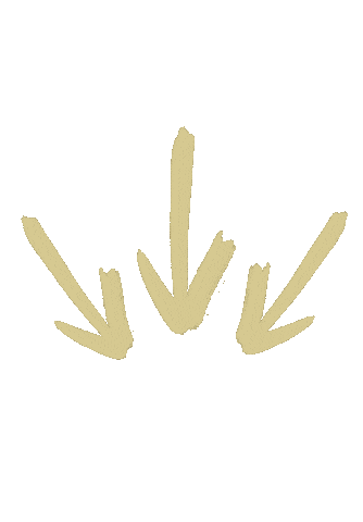 Unc Charlotte Arrows Sticker by CLT Admissions