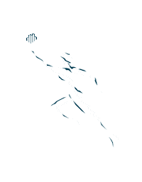 Animation Frite Sticker by ArrasPaysDartoisTourisme