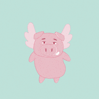 Happy Flying Pig GIF by PositivelyPigasus