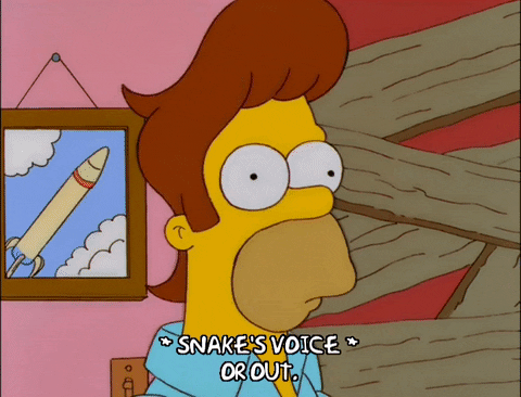 homer simpson GIF