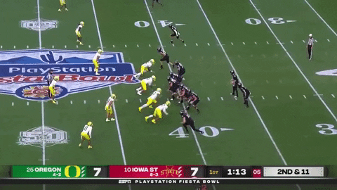 SchaufDS giphygifmaker GIF