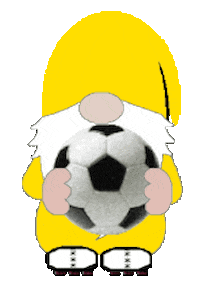 Soccer Sticker