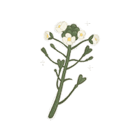 Art Summer Sticker