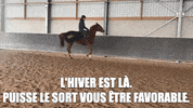 Equestrian_News  GIF