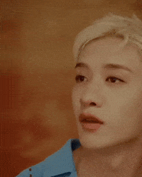 Stray Kids Skz GIF