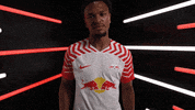 Think Germany GIF by Bundesliga