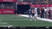 gostanford  GIF