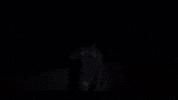 Panda GIF by Protect