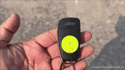 Driving Lets Go GIF by Namaste Car