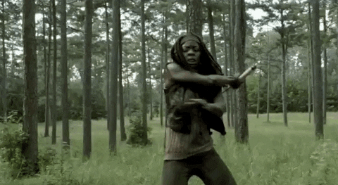 michonne GIF
