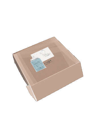 katiesketchart giphyupload box parcel katiesketchart Sticker