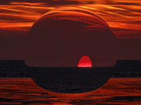 You Can Wow GIF by FranchiseONE.de