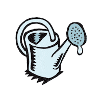 Eau Arrosoir Sticker by Amnesty France