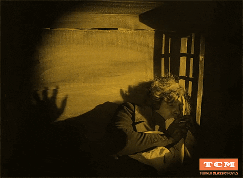 Horror Film GIF by Turner Classic Movies