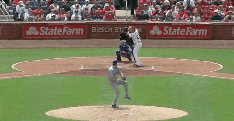cubs GIF