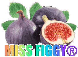 Fig Sticker by Efecantarim