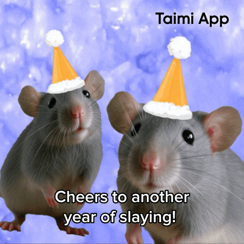 Happy Birthday Cheers GIF by Taimi