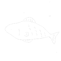 Summer Fish Sticker