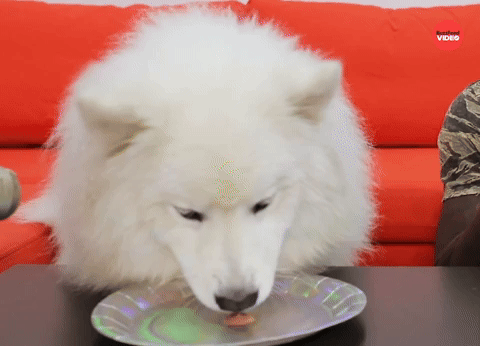 Monch