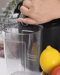 Health Juicing GIF by Kuvings