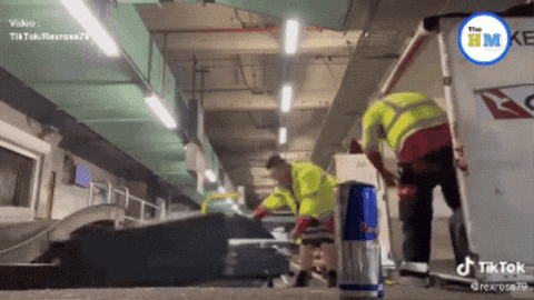 slugdisco giphygifmaker GIF