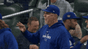 Major League Baseball Win GIF by MLB