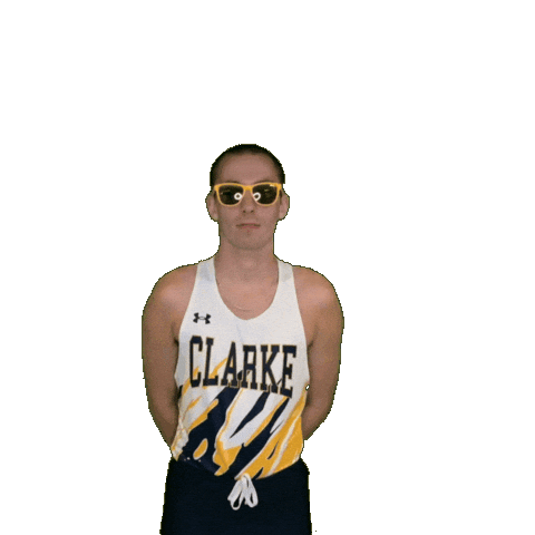 Cross Country Sticker by Clarke University