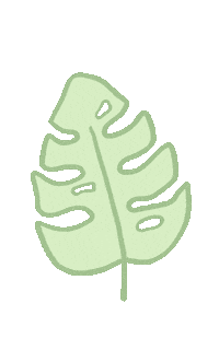 cremefleurs green aesthetic plant doodle Sticker