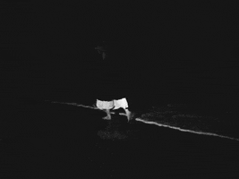 Run Running GIF by gracieabrams