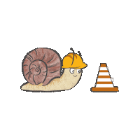 kitaweinbergschnecke weinbergschnecke kitaweinbergschnecke Sticker