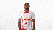 Oh No What GIF by RB Leipzig