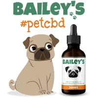 Cbd Oil Pug Sticker by Bailey's CBD