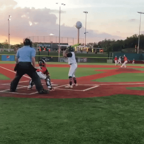 rawlingstigers baseball fall mlb trip GIF