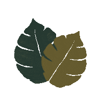 Plants Leaves Sticker