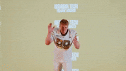 Georgia Tech Football Sport GIF by Georgia Tech Yellow Jackets