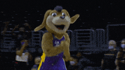 Los Angeles Sparks GIF by The Official Page of the Los Angeles Sparks