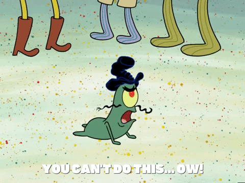 season 5 GIF by SpongeBob SquarePants