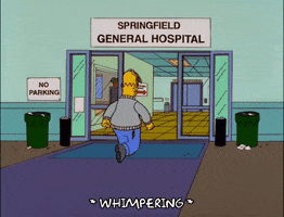 homer simpson GIF
