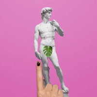 chambord cocktails GIF