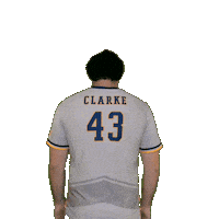 Clarke Mens Soccer Sticker by Clarke University